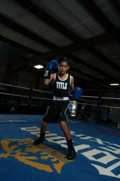 TITLE Boxing USA Boxing Competition Gloves - Elastic -Boxing Equipment Sales Store ACGESBL 1