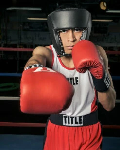 TITLE Boxing USA Boxing Competition Headgear - Open Face 37 TITLE Boxing USA Boxing Competition Headgear - Open Face -Boxing Equipment Sales Store ACHX1BBK 1 669e94b8 fc75 465a a58f e84c8e7d1e4d