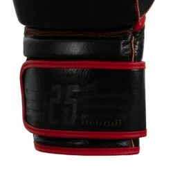 TITLE Boxing Throwback 1998 Anniversary Bag Glove -Boxing Equipment Sales Store AVTFBG BK RD 06