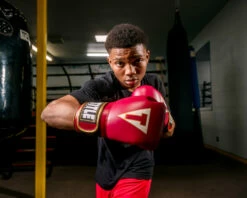 TITLE Boxeo Mexican Leather Bag Gloves Quatro -Boxing Equipment Sales Store BASBG4RD 3