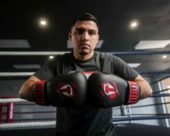 TITLE Classic Shredded Boxing Gloves -Boxing Equipment Sales Store CABG10BKRD 1