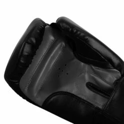 TITLE Classic Speed Boxing Gloves -Boxing Equipment Sales Store CABG12 BK GR 5