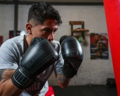 TITLE Classic Speed Boxing Gloves -Boxing Equipment Sales Store CABG12BKGR 2