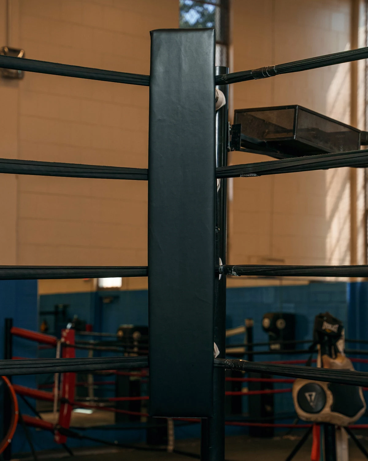 TITLE Boxing Blank Pro Corner Cushion V3.0 - Single 2 TITLE Boxing Blank Pro Corner Cushion V3.0 - Single - Image 2