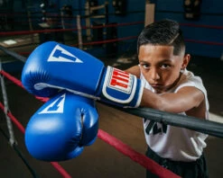 TITLE Classic Pro Style Training Gloves 3.0 35 TITLE Classic Pro Style Training Gloves 3.0 -Boxing Equipment Sales Store CVVTG3BL 1