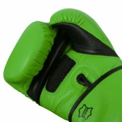 TITLE Boxing Dauntless Training Gloves -Boxing Equipment Sales Store DNTTG GN BK 5