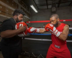 TITLE Boxing Fighting Fresh Punch Shield -Boxing Equipment Sales Store FFPSRDWH 1 2