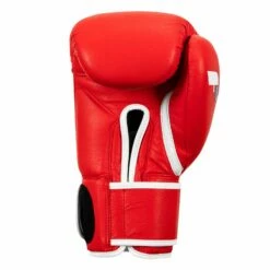 Fighting Fury Professional Training Gloves -Boxing Equipment Sales Store FSFTGE RD 04