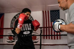 Fighting Fury Professional Training Gloves -Boxing Equipment Sales Store FSFTGERD 2