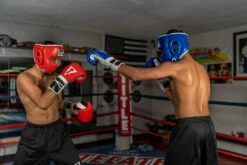 TITLE Boxing Leather Sparring Headgear -Boxing Equipment Sales Store FTHGBL