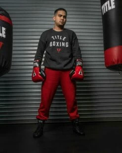 TITLE Boxing Gel Glory Super Bag Gloves 2.0 26 TITLE Boxing Gel Glory Super Bag Gloves 2.0 -Boxing Equipment Sales Store GGASBG2RDBK