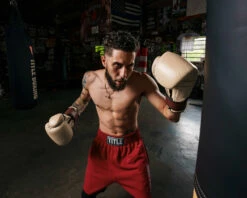 TITLE Boxing Honorary Bag Gloves -Boxing Equipment Sales Store GOSBGTNMR 1