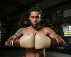 TITLE Boxing Honorary Bag Gloves -Boxing Equipment Sales Store GOSBGTNMR 2