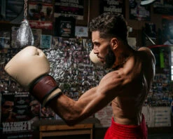 TITLE Boxing Honorary Bag Gloves -Boxing Equipment Sales Store GOSBGTNMR 3