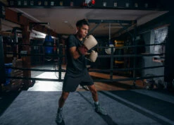 TITLE Boxing Honorary Sparring Gloves -Boxing Equipment Sales Store GOSSGTN 1 edb11be7 1c34 4421 9aff d5142138cd7f