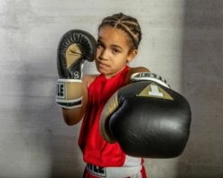 TITLE Boxing Gel World V2T Bag Gloves -Boxing Equipment Sales Store GTWBGV2T BK GD WH