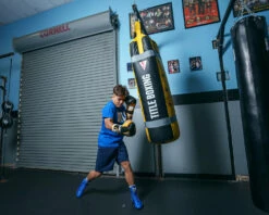 TITLE Boxing Gel World V2T Bag Gloves -Boxing Equipment Sales Store GTWBGV2TBKGDWH 2 1c486990 2abf 454b 9766 48e64cb05cc0