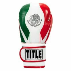 TITLE Boxing Infused Foam El Combate Mexico Training Gloves -Boxing Equipment Sales Store HIFXTG 3
