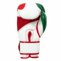 TITLE Boxing Infused Foam El Combate Mexico Training Gloves -Boxing Equipment Sales Store HIFXTG 4 b85957ca 7880 464f a065 66deb14b8b2c