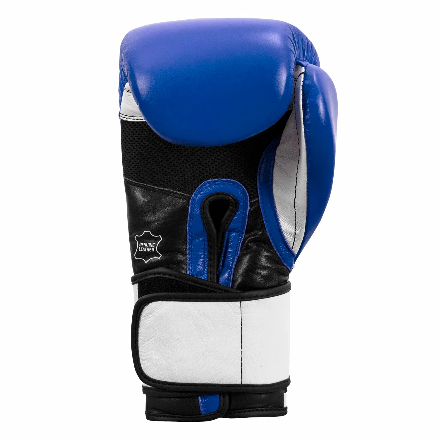 TITLE Boxing Premium Leather Performance Training Gloves 12 TITLE Boxing Premium Leather Performance Training Gloves - Image 12