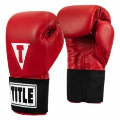 TITLE Boxing Masters USA Boxing Competition Gloves - Elastic -Boxing Equipment Sales Store MACGES RD 02