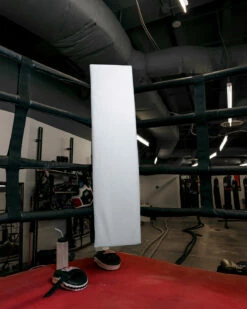 TITLE Boxing Blank Jumbo Corner Cushion V3.0 – Single 22 TITLE Boxing Blank Jumbo Corner Cushion V3.0 – Single -Boxing Equipment Sales Store OSCC3BWH 1