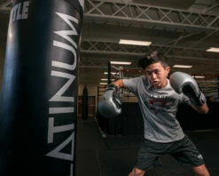 TITLE Platinum Prolific Training Gloves 30 TITLE Platinum Prolific Training Gloves -Boxing Equipment Sales Store PLTGSVBK 1 1