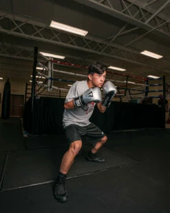 TITLE Platinum Prolific Training Gloves 31 TITLE Platinum Prolific Training Gloves -Boxing Equipment Sales Store PLTGSVBK 1 3