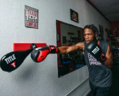 TITLE Boxing Precision Spring-Flex Wall Target -Boxing Equipment Sales Store PSFWTBK 3