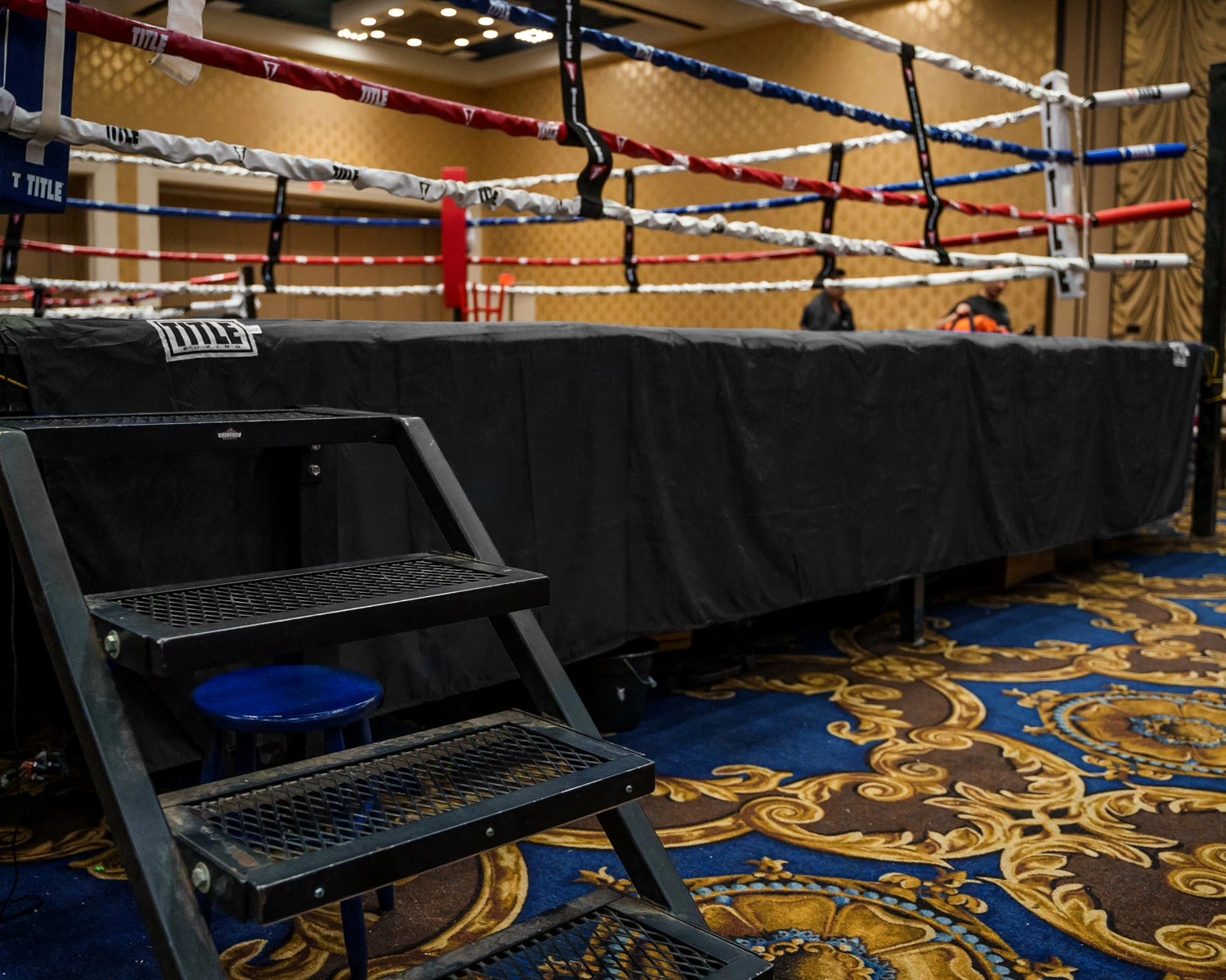 TITLE Boxing Professional Ring Skirt 3.0 2 TITLE Boxing Professional Ring Skirt 3.0 - Image 2