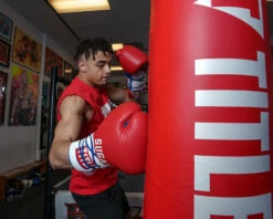 TITLE Boxing Sugar Ray Leonard Signature Leather Sparring Gloves -Boxing Equipment Sales Store SRLSLSG 4 3