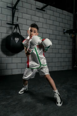 TITLE Boxing Sleeveless Ring Vest -Boxing Equipment Sales Store SSTVWH RD GN