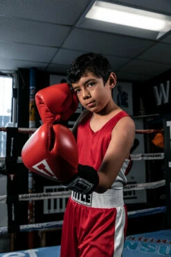 TITLE Boxing Aerovent Elite Amateur Set - Original -Boxing Equipment Sales Store TABSRD