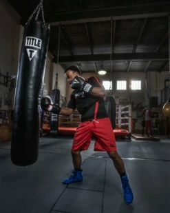 TITLE Boxing Total Balance Shoes -Boxing Equipment Sales Store TBS24 BL