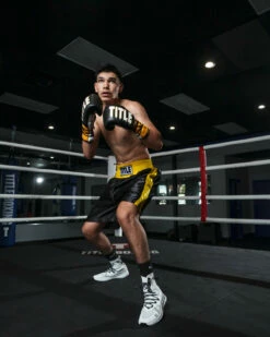 TITLE Boxing Edge Boxing Trunks 2.0 -Boxing Equipment Sales Store TBTC2BKGD