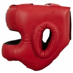 TITLE Boxing Face Protector Training Headgear -Boxing Equipment Sales Store TFP RD 3
