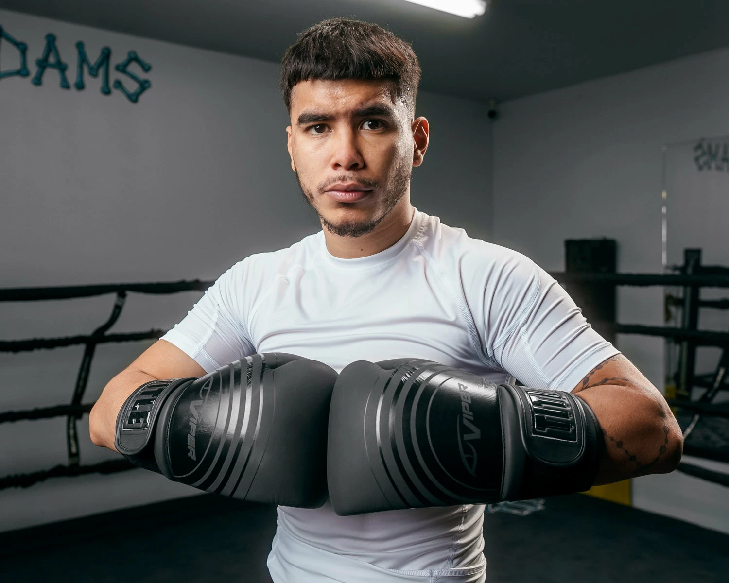 Viper By TITLE Boxing Select Training Gloves 2.0 10 Viper By TITLE Boxing Select Training Gloves 2.0 - Image 10