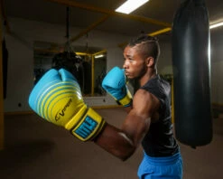 Viper By TITLE Boxing Select Training Gloves 2.0 20 Viper By TITLE Boxing Select Training Gloves 2.0 -Boxing Equipment Sales Store VSTG2BLGN 3 3