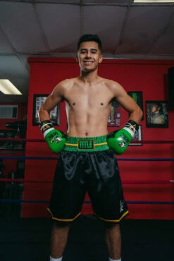 WBC By TITLE Boxing Professional Boxing Trunks -Boxing Equipment Sales Store WBCBTBKGR 1 2f01b031 1a4a 43e1 9a5c 26cabeeb915f