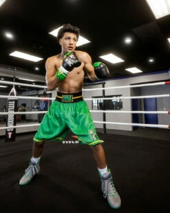 WBC By TITLE Boxing Professional Boxing Trunks -Boxing Equipment Sales Store WBCBTGN