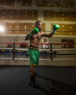 WBC By TITLE Boxing Professional Boxing Trunks -Boxing Equipment Sales Store WBCBTGRBK 2