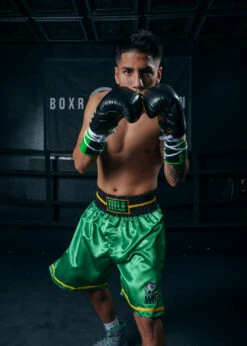 WBC By TITLE Boxing Professional Boxing Trunks -Boxing Equipment Sales Store WBCBTGR 3