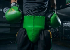 WBC By TITLE Boxing Groin Protector -Boxing Equipment Sales Store WBCGPGR 1