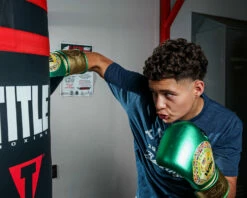 WBC By TITLE Boxing Green Belt Bag Gloves 19 WBC By TITLE Boxing Green Belt Bag Gloves -Boxing Equipment Sales Store WGBBGGNGD 1