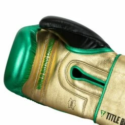 WBC By TITLE Boxing Green Belt Training Gloves 1.0 26 WBC By TITLE Boxing Green Belt Training Gloves 1.0 -Boxing Equipment Sales Store WGBTG GN GD BK 5