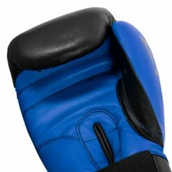 TITLE Boxing Dynamic Strike Heavy Bag Gloves -Boxing Equipment Sales Store XDBG BK BL 005