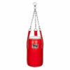 TITLE Boxing Accuracy Heavy Bag