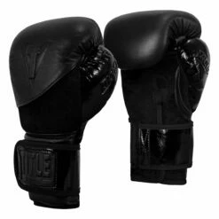 TITLE Black Blitz Bag Gloves -Boxing Equipment Sales Store bkvbg 002