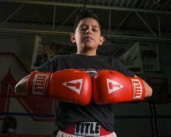 TITLE Classic Super Bag Gloves 2.0 -Boxing Equipment Sales Store csbg2 rd