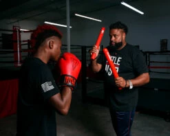 TITLE Classic Striking Sticks 2.0 -Boxing Equipment Sales Store css2 rd 1 2